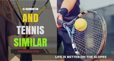 Racketsports: Badminton and Tennis, Similar?