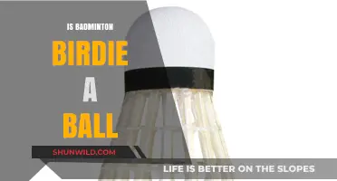 Badminton Birdie: Is It a Ball?