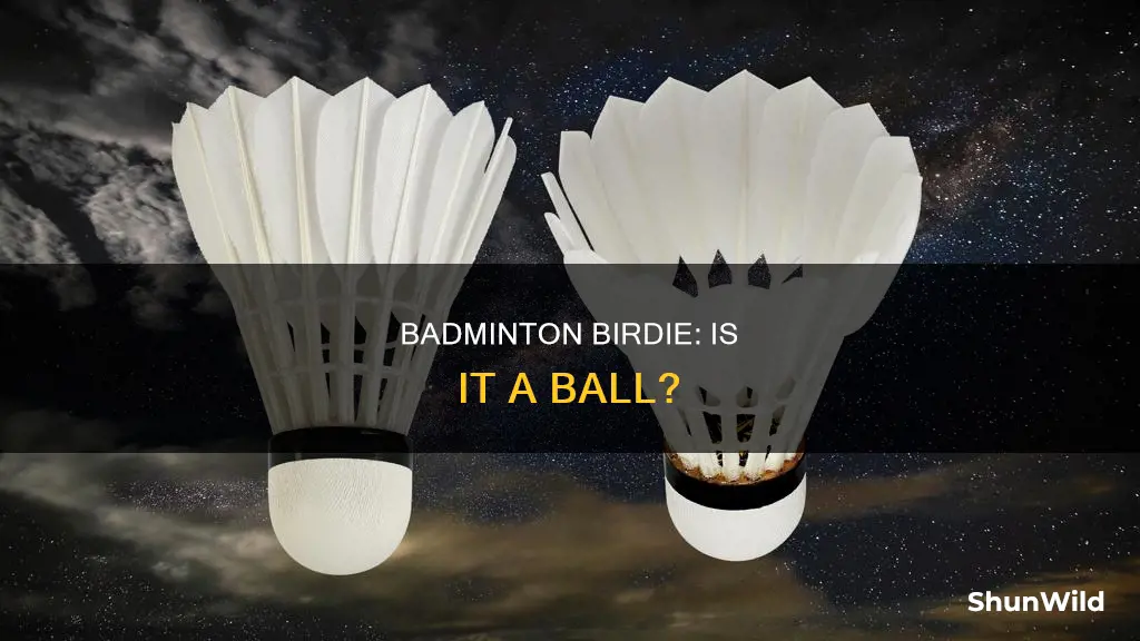 is badminton birdie a ball