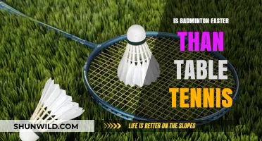 Badminton vs Table Tennis: Which Sport is Faster?