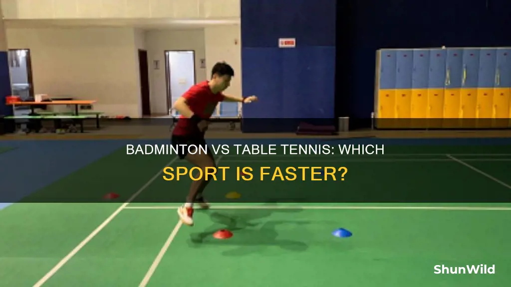 is badminton faster than table tennis