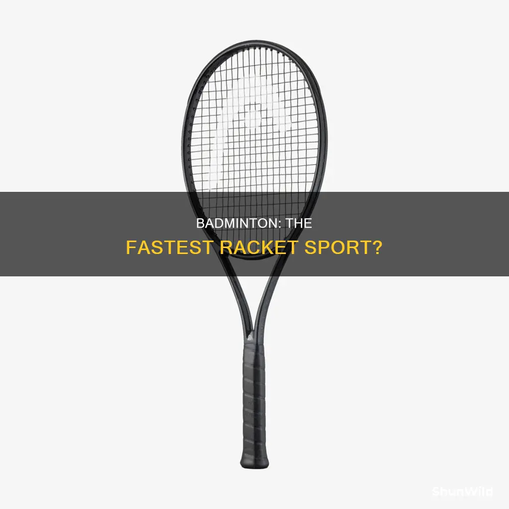 is badminton fastest racket sport