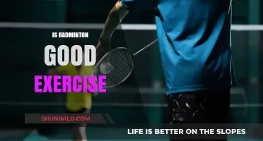 Badminton: An Excellent Workout for Fitness Enthusiasts