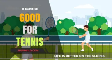 Badminton to Tennis: A Smart Transition?