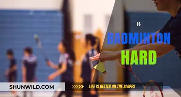 Badminton: Easy to Learn, Hard to Master