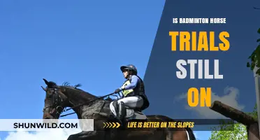 Badminton Horse Trials: Cancelled or Continued?