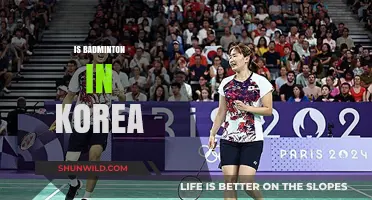 Badminton in Korea: A Cultural Phenomenon