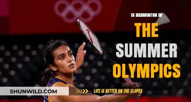 Badminton's Olympic Presence: A Summer Sport?
