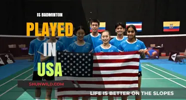 Badminton in the USA: Is it Popular?