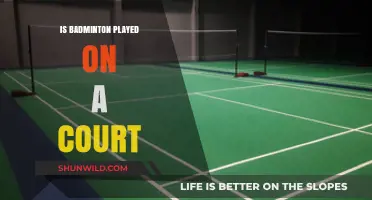 Badminton Court: Where the Magic Happens