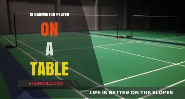 Badminton: Table Sport or Not?