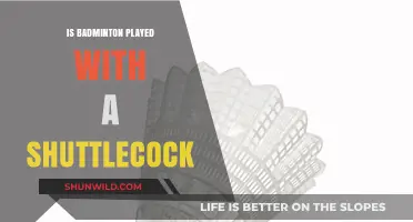 Shuttlecock: Badminton's Unique Feathered Friend