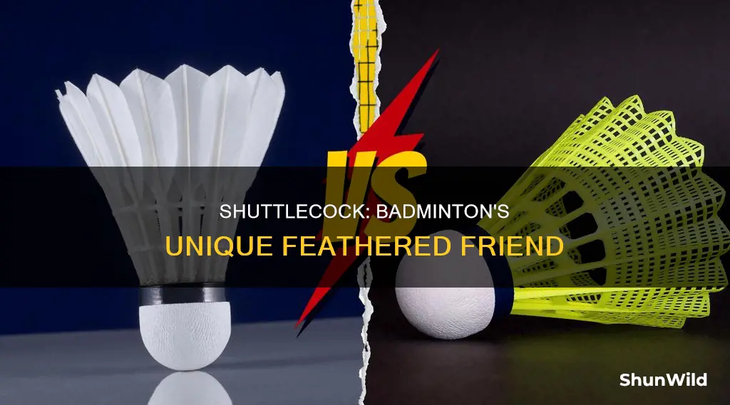 is badminton played with a shuttlecock
