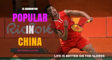 Badminton in China: A Popular Sport?