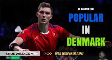 Badminton's Popularity in Denmark: Why So?