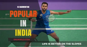 Badminton in India: A Popular Sport?