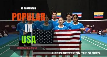 Badminton's Popularity in the USA: Is It Growing?
