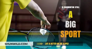 Badminton's Relevance: A Sport Still Going Strong?