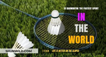 Badminton: World's Fastest Racket Sport?