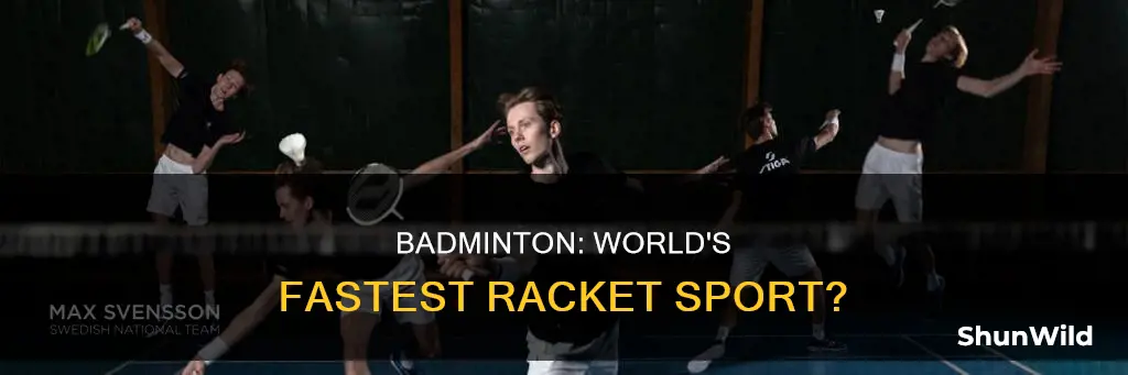 is badminton the fastest sport in the world