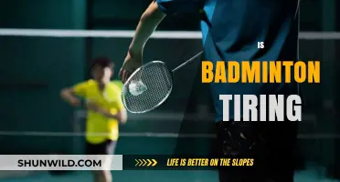 Badminton: An Energizing, Yet Exhausting Sport