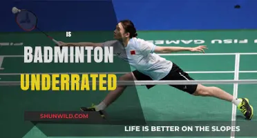 Badminton: Underappreciated or Overlooked?
