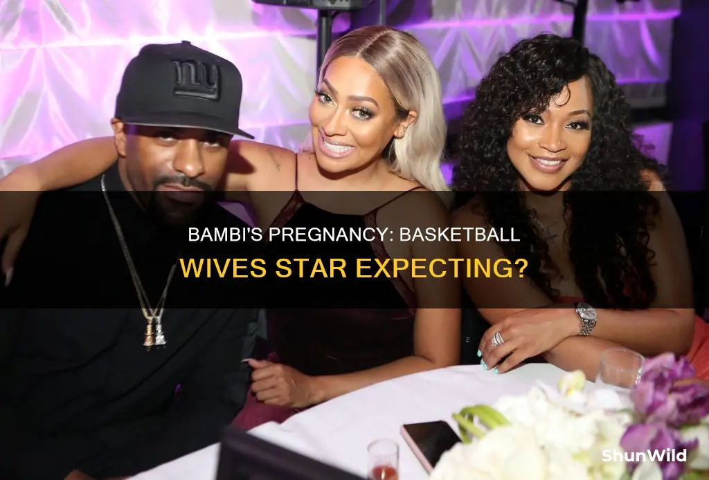 is bambi from basketball wives pregnant
