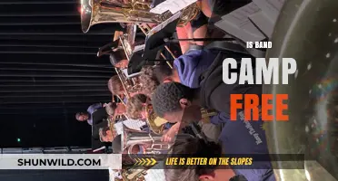 Is Band Camp Free? Exploring Costs and Accessibility for Musicians