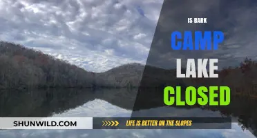 Is Bark Camp Lake Closed? Current Status and Updates