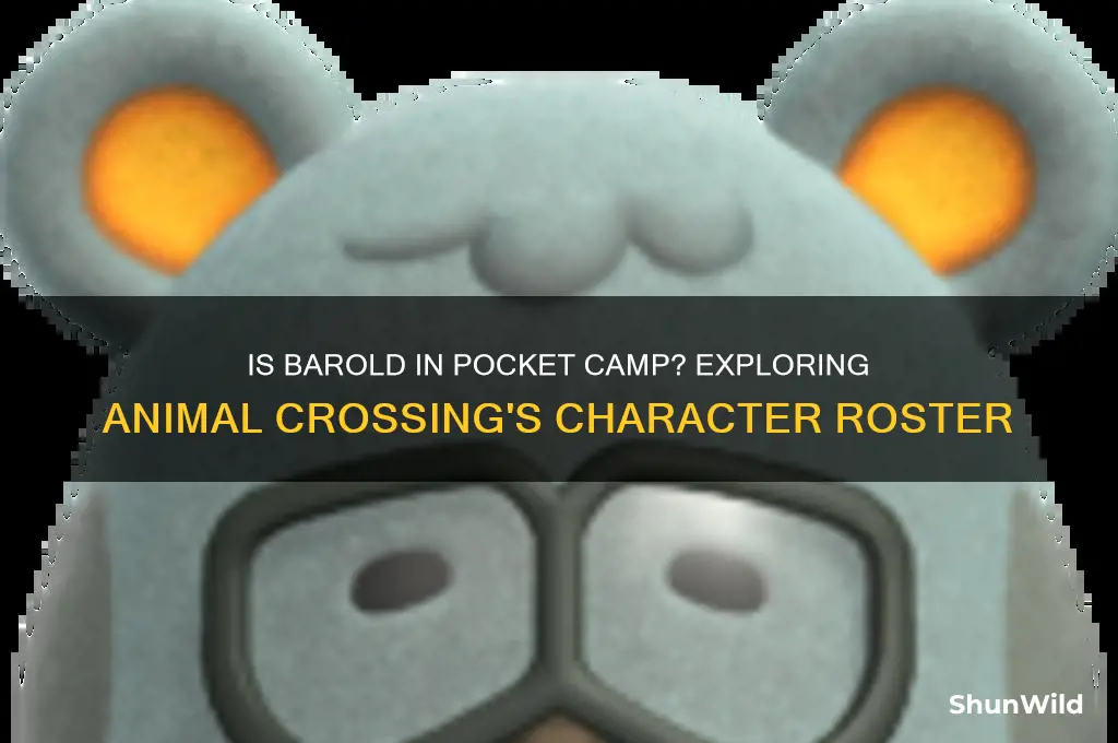 is barold in pocket camp
