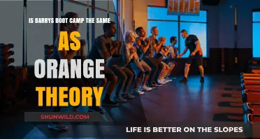 Barry's Bootcamp vs. Orangetheory: Uncovering the Key Differences