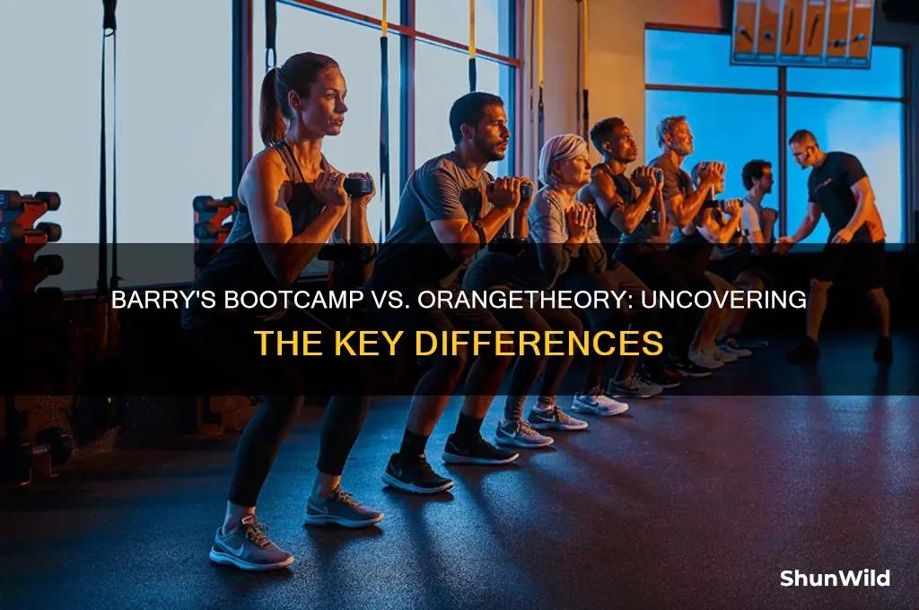is barrys boot camp the same as orange theory