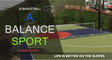Basketball's Balance: Skill, Strategy, and Physicality