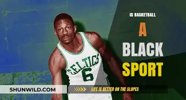 Basketball's Racial Stereotypes: Black Sport or Not?