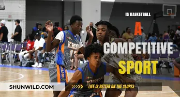 Basketball: Competitive Sport or Just a Game?