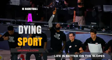 The Future of Basketball: A Dying Sport?