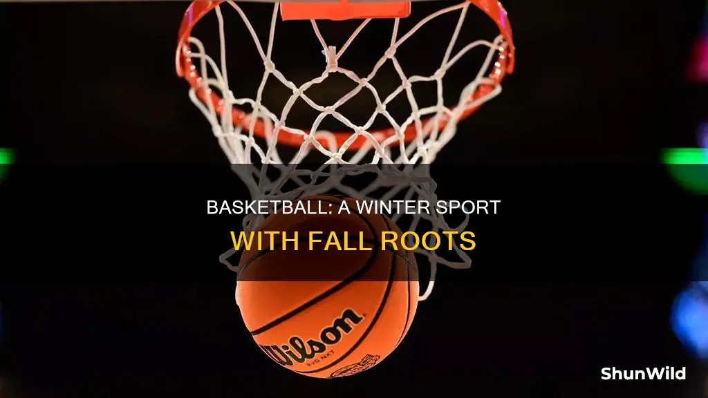 is basketball a fall or winter sport