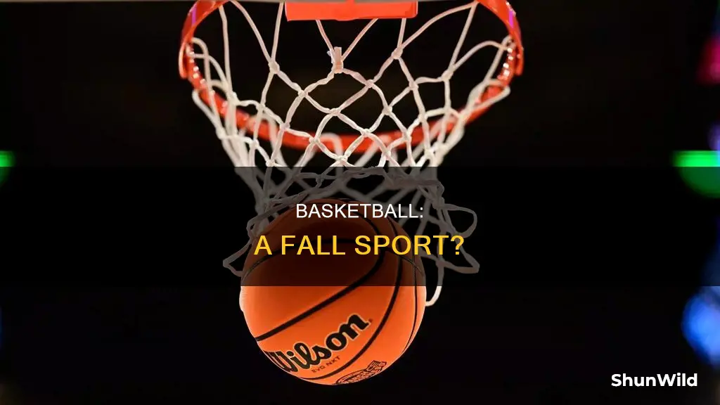 is basketball a fall sport