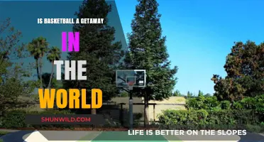 Basketball: An Escape from Reality