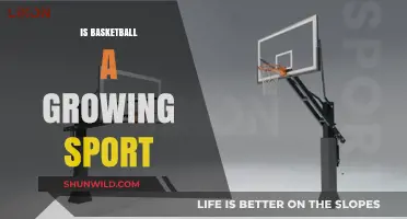 The Rise of Basketball: A Global Sport?
