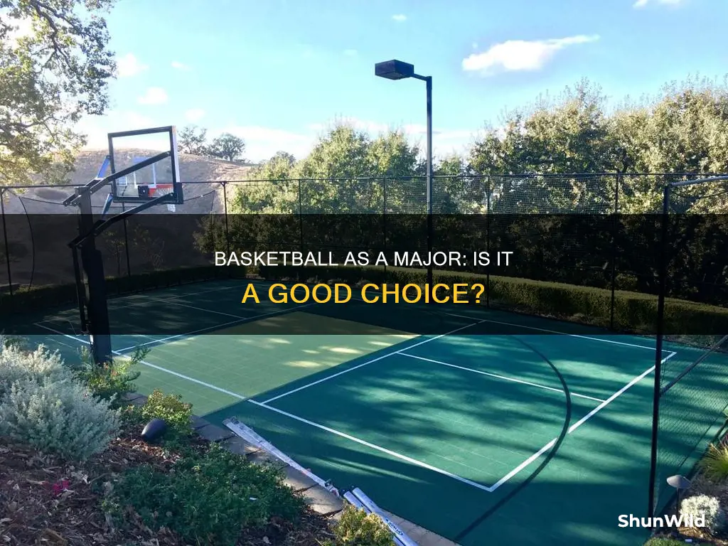 is basketball a major