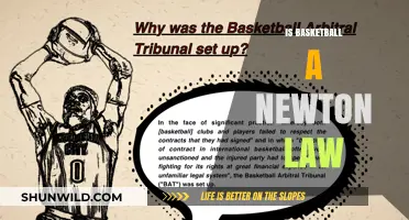 Basketball and Newton's Laws: A Perfect Match