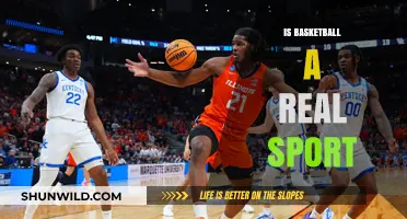 The Thrill of Basketball: Is It a Real Sport?