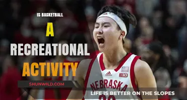 Basketball: A Recreational Sport or Serious Business?