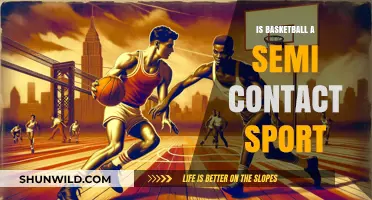 Basketball: Semi-Contact Sport or Full-Bodied Experience?