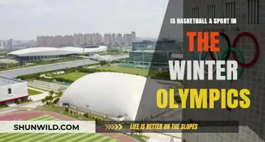 Basketball in Winter Olympics: A Sport or Not?