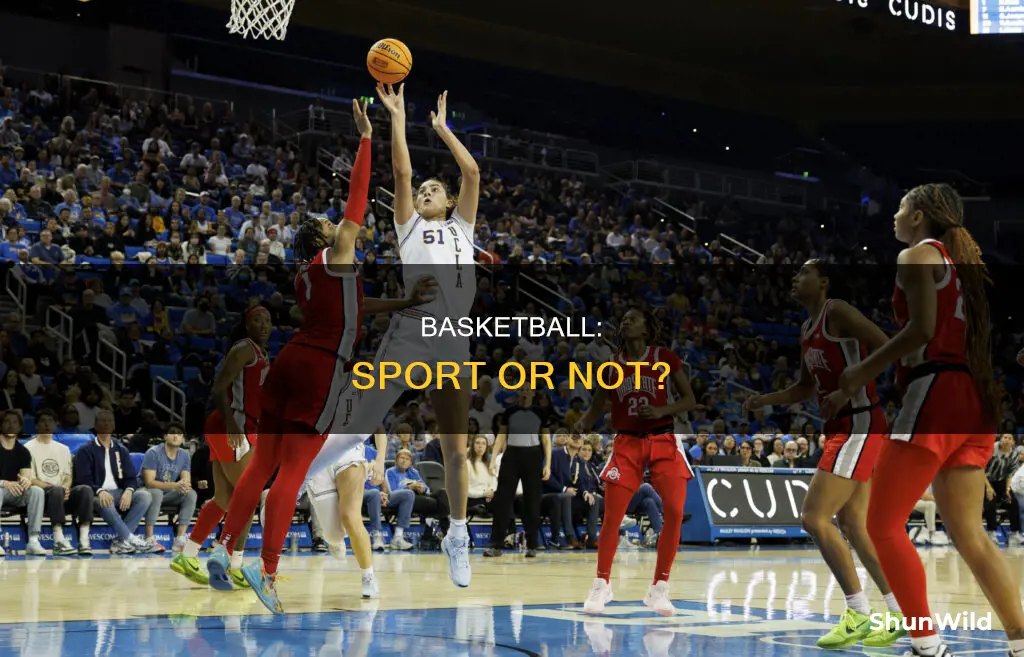 is basketball a sport