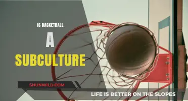 Basketball: A Subculture in the Making?