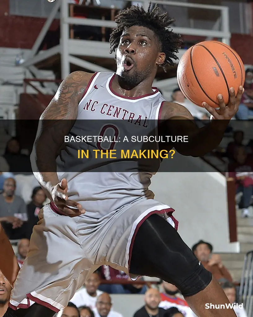 is basketball a subculture