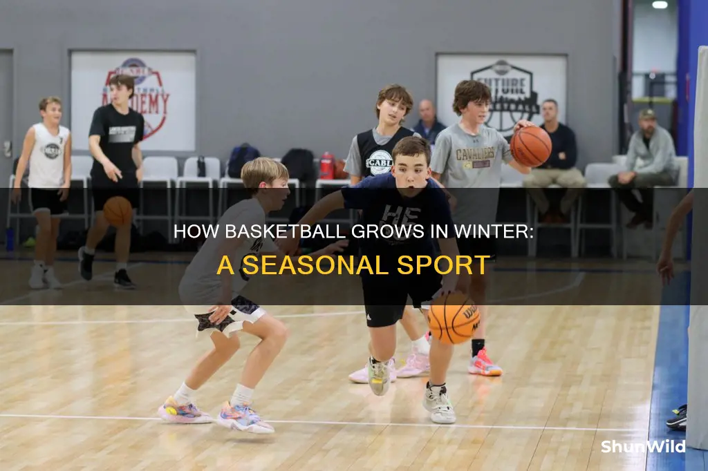 is basketball a winter sport growth